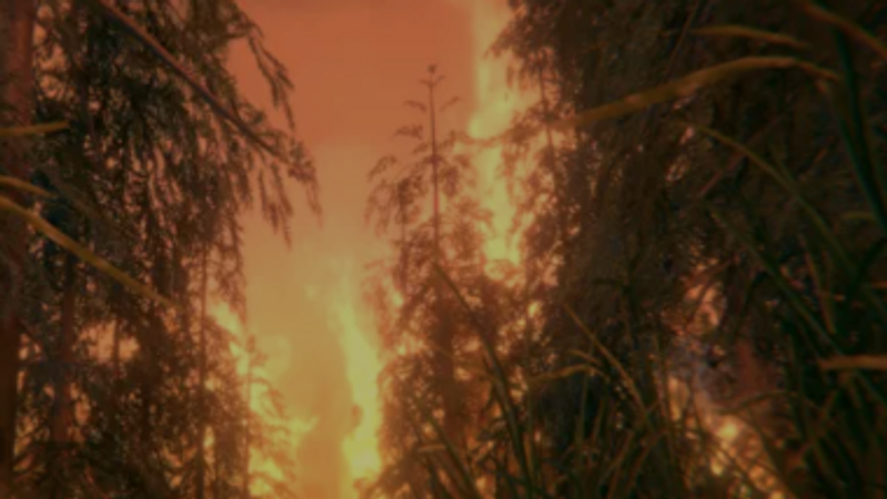 Внутри стихии.  Как устроены лесные пожары - «Россия сегодня», 800, 01.04.2021