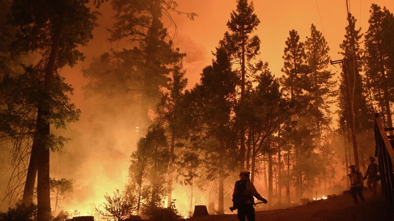 Пожарные во время тушения лесного пожара в штате Калифорния - «Россия сегодня», 800, 08.09.2021
