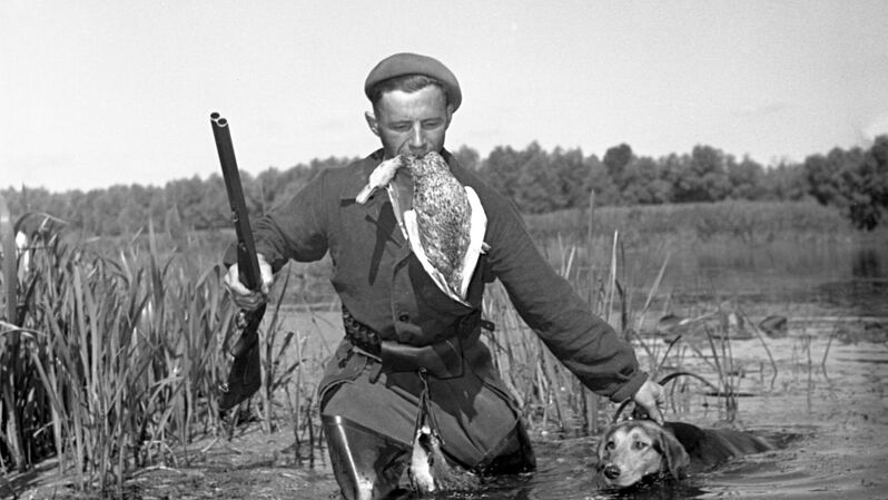 Охотник идет по болоту после удачной охоты, 1956 год - «Россия сегодня», 800, 08.09.2021