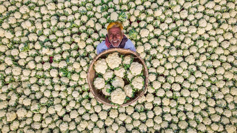 Счастливый фермер, Рафид Ясар, Бангладеш. Моя Планета. - «Россия сегодня», 800, 01.08.2023
