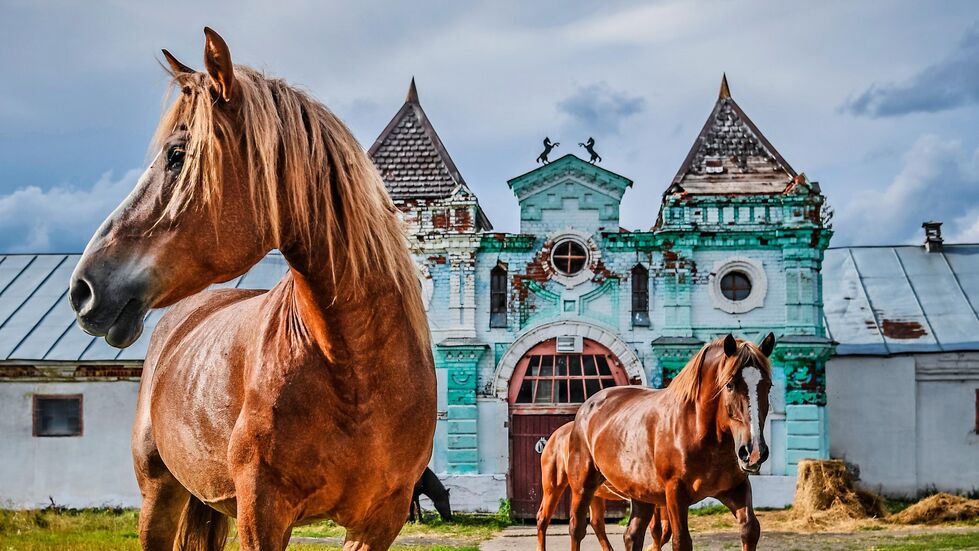 Для страницы Реклама и Спецпроекты. Анонс Фотопроекты - «Россия сегодня», 980
