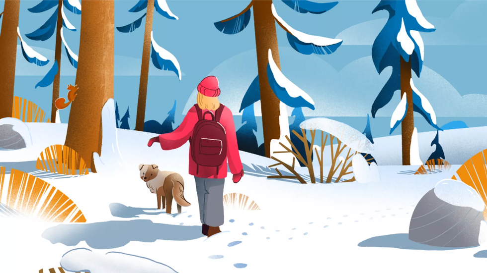 Продукты и сервисы 3 Продукты и сервисы 3 - «Россия сегодня», 980